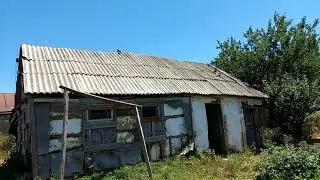 Тренировка голубей в солнцепёк !!! Рубрика - Живой Дом !!!