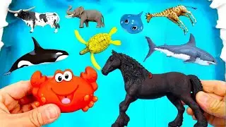 Learn color with animals learn wild animals for kids zoo animal for children sea animal toys #13