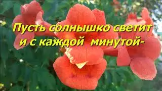 С ДОБРЫМ УТРОМ, ДРУЗЬЯ! С  СОЛНЫШКОМ ЯСНЫМ! Красивое  музыкальное видео для друзей.