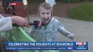 Celebrating The Holidays At SeaWorld