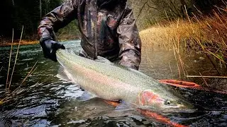 Northwest VS Midwest STEELHEAD Fishing!