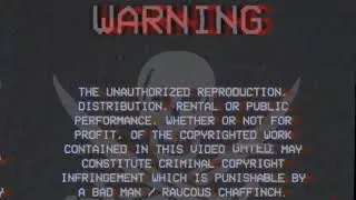 Green Screen VHS Effects / Overlay 2