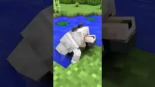 Minecraft animation