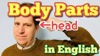 Parts of the Body in English - Body Parts Learn English Vocabulary