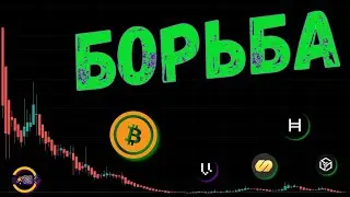 АЛЬТСЕЗОН ГРЯДЕТ: ПРОГНОЗЫ И ТРЕНДЫ КРИПТОВАЛЮТ 🚀ПРОГНОЗ BTC / HBAR / GALA / VEGA / NYM / ETH/BTC