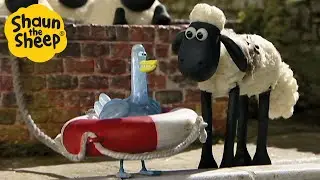 Shaun the Sheep 🐑 The Ice Bath 🥶🧼 Full Episodes Compilation [1 hour]