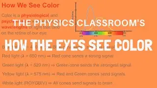How the Eyes See Color