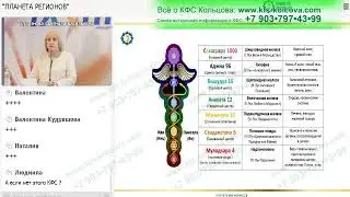 Лузгинова СВ 2021-10-29 «КФС № 18 «СИНХРОНИЗАЦИЯ»  и  энергетическая система человека» 