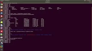 How To Take Backup of a Container In Docker