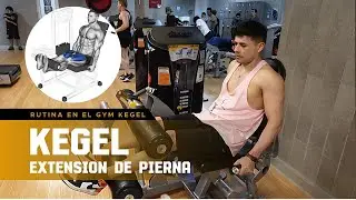 ejercicios de kegel en el gym  fortalece el suelo pélvico vol #1