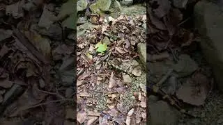 РЕЛАКС .ОТДЫХ.РЫБАЛКА 🇺🇦