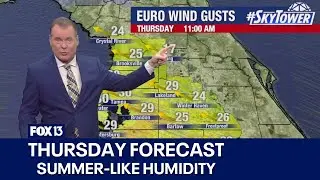 Tampa weather | Windy & humid