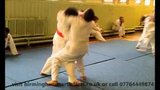 Birmingham martial arts training for kids