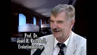 Drogen des Fortschritts - 