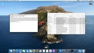 Как удалить системные файлы в MacOS Catalina / How delete system files in MacOS Catalina (elan 1200)