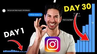 Best Instagram Mass Story Viewer 2025