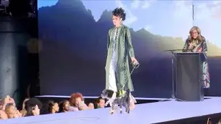 Dogs Steal the Spotlight in Fashion Show Ahead of NYC Fashion Week