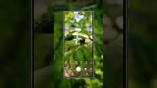 High Quality Photo Capture Best Camera Apps 2024 