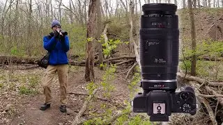 Speed boosted! Canon EF 70–210mm f/4 AFD, Viltrox 0.71x, and Canon EOS M50 Nature Photowalk