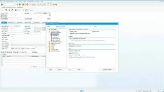 SAP User Basics: How to Show Drop-down List Keys - Video 5