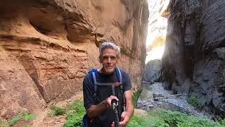 The Narrows - Zion National Park