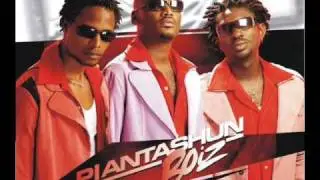 Plantashun boiz - Cousin's Cousin