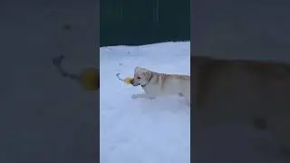 Все заняты делом