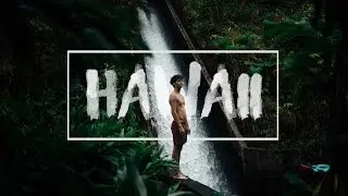 KOLD - Hawaii v2.0 - Be Wild