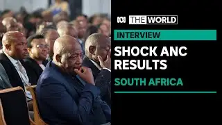 South Africas ANC party loses parliamentary majority for the first time in 30 years | The World