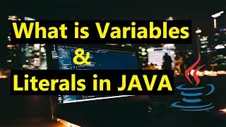 What is Variables and Literals in Java | Java Variables And Java Literals