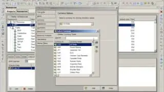 Primavera P6: Adding new currency and changing user preferences