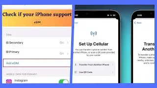 How to Check If Your iPhone Supports eSim - The Ultimate Guide