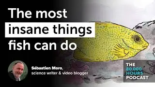 The most INSANE things fish can do | Sébastien Moro