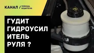 Теперь гидроусилитель больше не будет гудеть и свистеть если  устранить причины