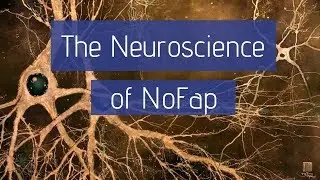 The Neuroscience of NoFap | Why Pornography Changes the Brain