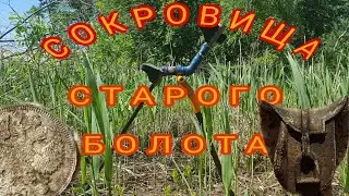 Сокровища старого болота. Коп 2018