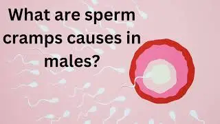 what are sperm cramps in males causes?? | sperm cramps meaning #spermCramp #labstatus