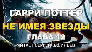 Не имея звезды - Глава 12 | Гарри Поттер (аудиокнига Васильев С.)