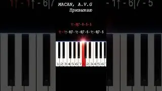 MACAN, A.V.G - Привыкаю | Piano Tutorial | Ноты цифрами #shorts