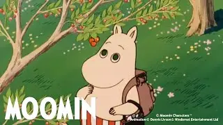 The Wreck & The Moomins Discover the Island | Moomin 90s | DOUBLE FULL EPISODE