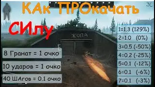 EScape FRom TArkov ПРОкачка СИлы, ГРанаты ПЕрегруз БОй? 0.12.4