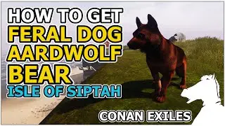 How to get pets: Feral dog, Aardwolf, Bear | Isle of Siptah | CONAN EXILES