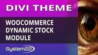 Divi Theme WooCommerce Dynamic Stock Module