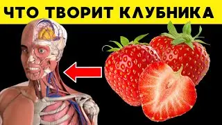 Что ТВОРИТ КЛУБНИКА с нашим организмом?! 90% употребляющих в пищу 🍓 НЕ СОЗНАЮТ этого! Польза и вред🍓