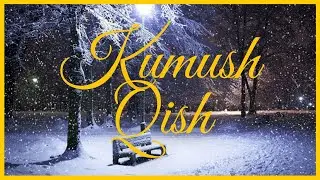 Kumush qish | Серебряная зима
