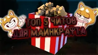 ТОП 5 ЧИТОВ ДЛЯ МАЙНКРАФТА/TOP 5 CHEAT'S FOR MINECRAFT!