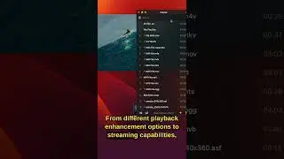 Discover the Best VLC Alternative for Mac!