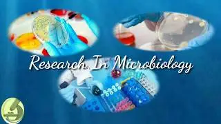 Easy Microbiology Research Topics 4