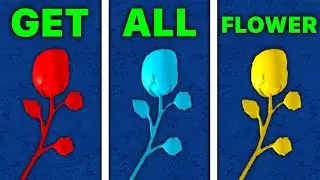 RACE V2 - All flower location in 1 MINUTE.. (Blox Fruits)