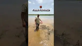 🦞This footage was taken a little over a month ago.